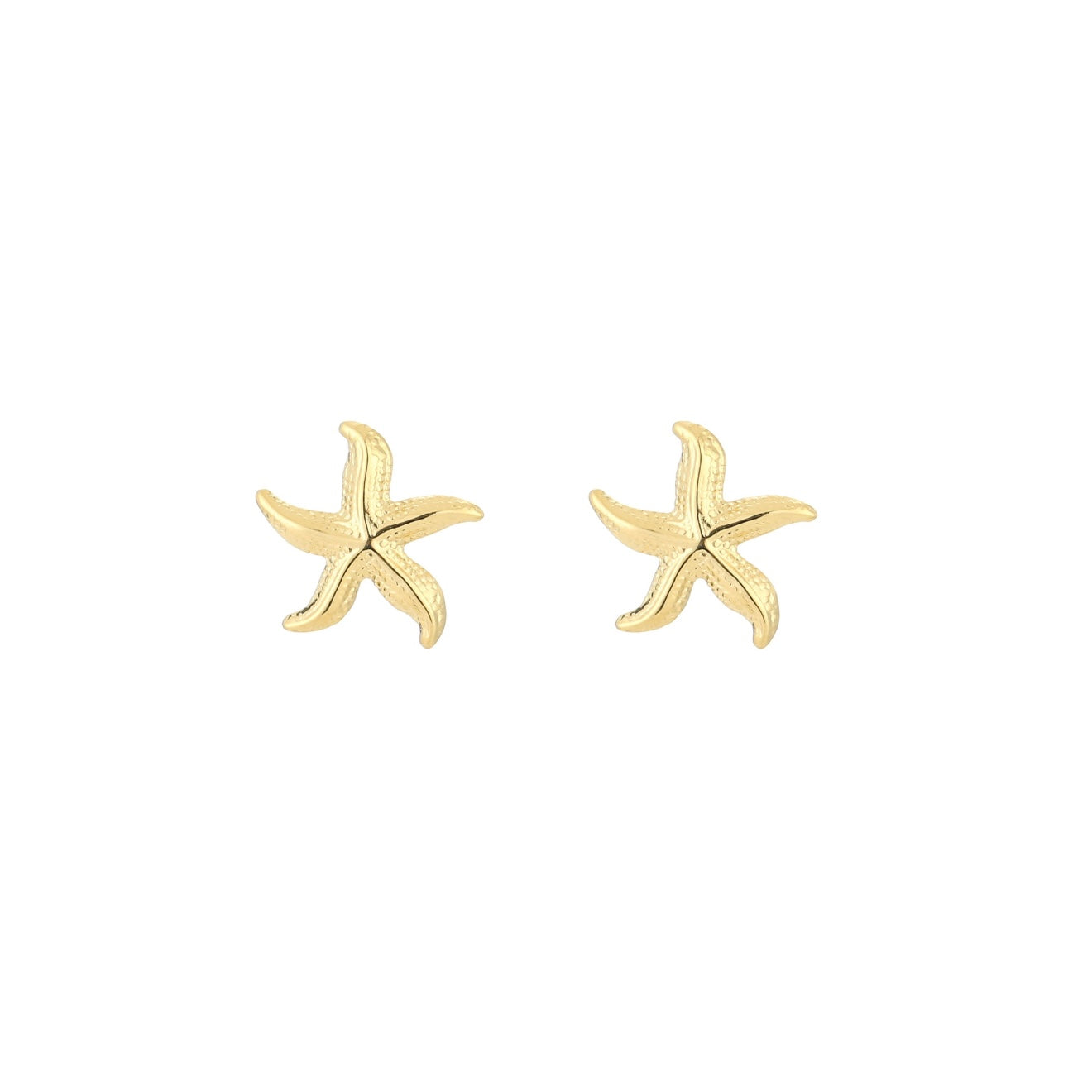 Starfish Oorbellen