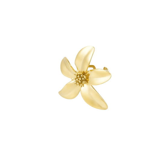 Myrthe Ring